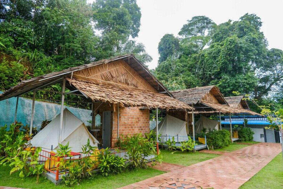 A traditional thatched-roof house with a brick foundation, surrounded by lush greenery and a paved pathway.
