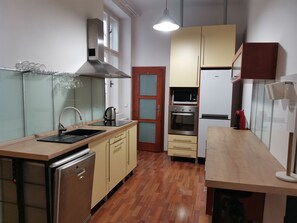Fridge, microwave, oven, stovetop - Downtown 3 BDR Charm - walk to all attractions (Bratislava)