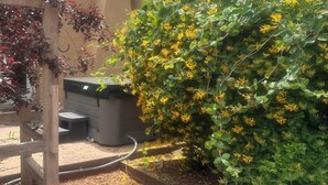 Een tuin met een houten pergola, een barbecue en een dichte groene struik met gele bloemen.