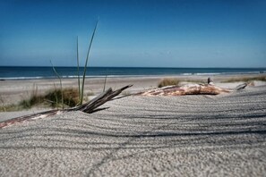 Ein sandiger Strand mit einem großen, gefallenen Baumstamm und Gras im Vordergrund.