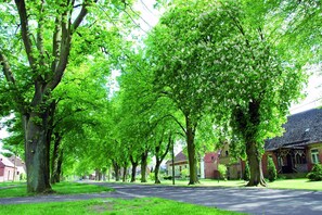 Stroll through a tranquil tree-lined street surrounded by mature trees and traditional brick buildings.