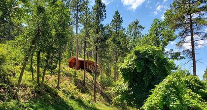 Cozy Cabin nestled in the Valley - 10 minutes to downtown Spearfish!