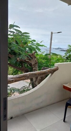 Property grounds - Cabañas Don Jorge (Puerto Baquerizo Moreno)