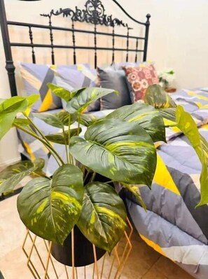 1 soveværelse, Wi-Fi