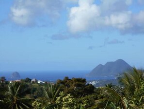 Escape to a serene tropical paradise surrounded by lush palm trees and majestic mountains.