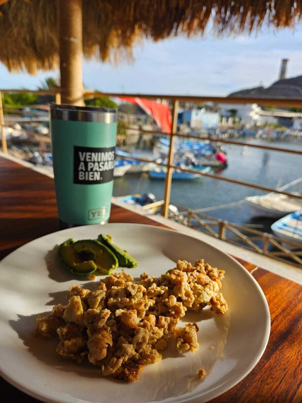 A plate with food and a drink on a table with a view of boats and a palm tree.