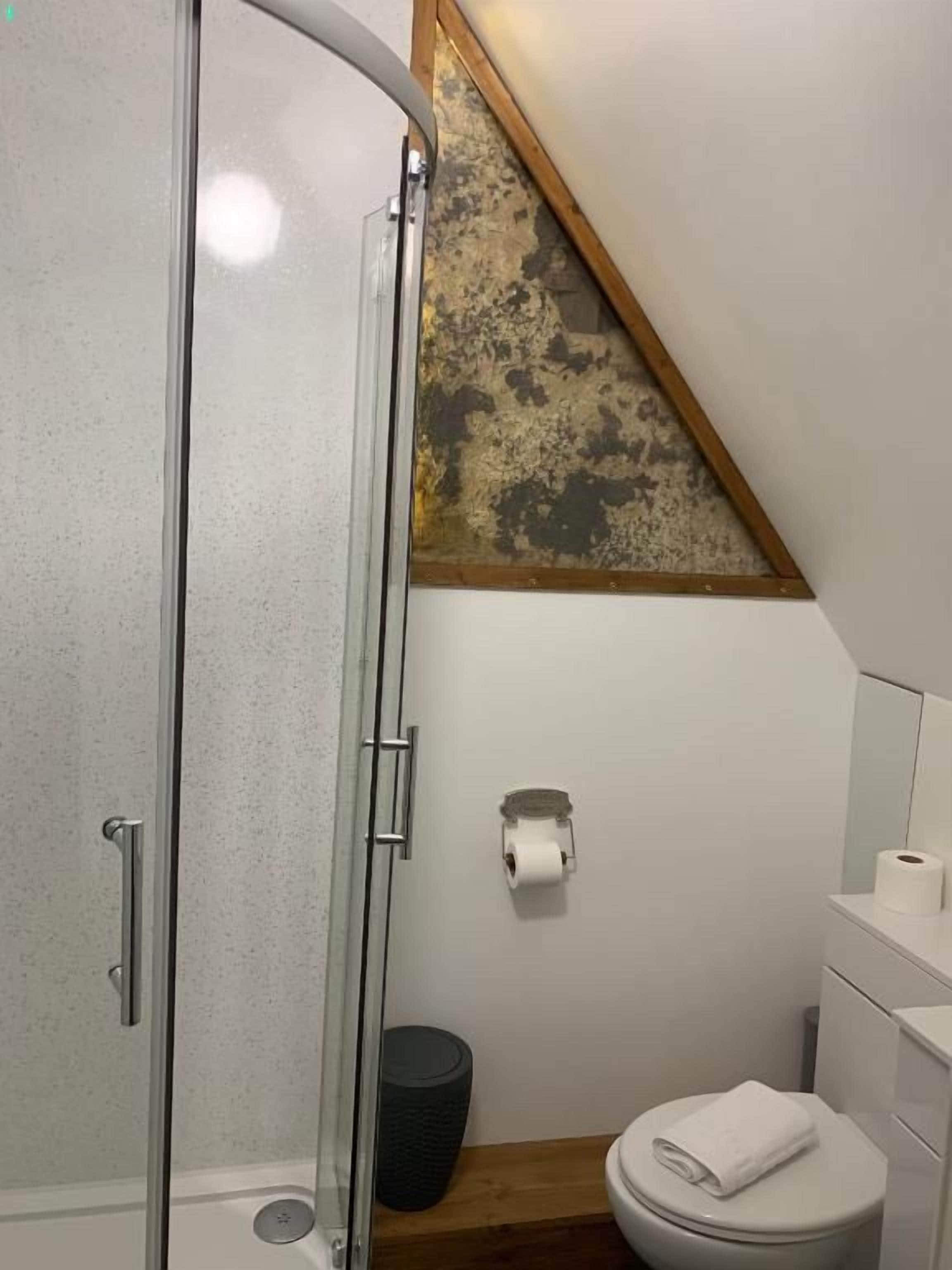 A bathroom with a glass shower enclosure, a toilet, and a roll of toilet paper on the wall.