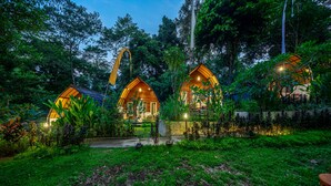 รูปภาพที่ไม่ได้จัดประเภท, 3 จาก 36, ปุ่ม
