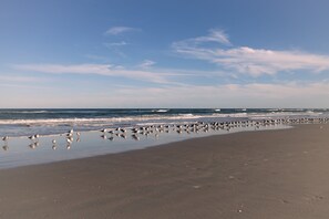 In Strandnähe