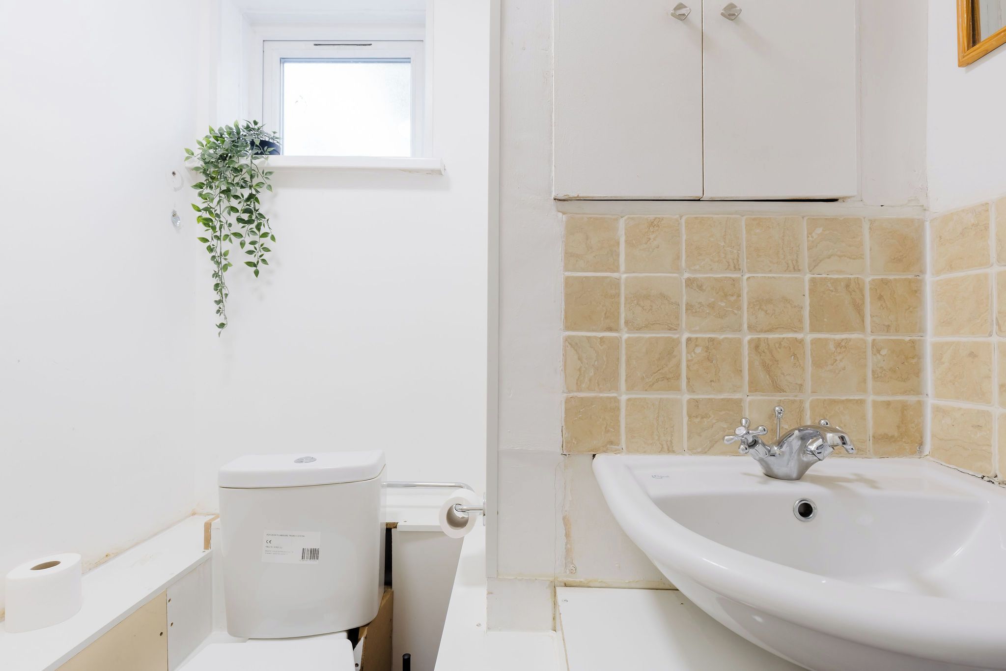 Une salle de bain avec des toilettes, un lavabo et une fenêtre agrémentée d’une plante.