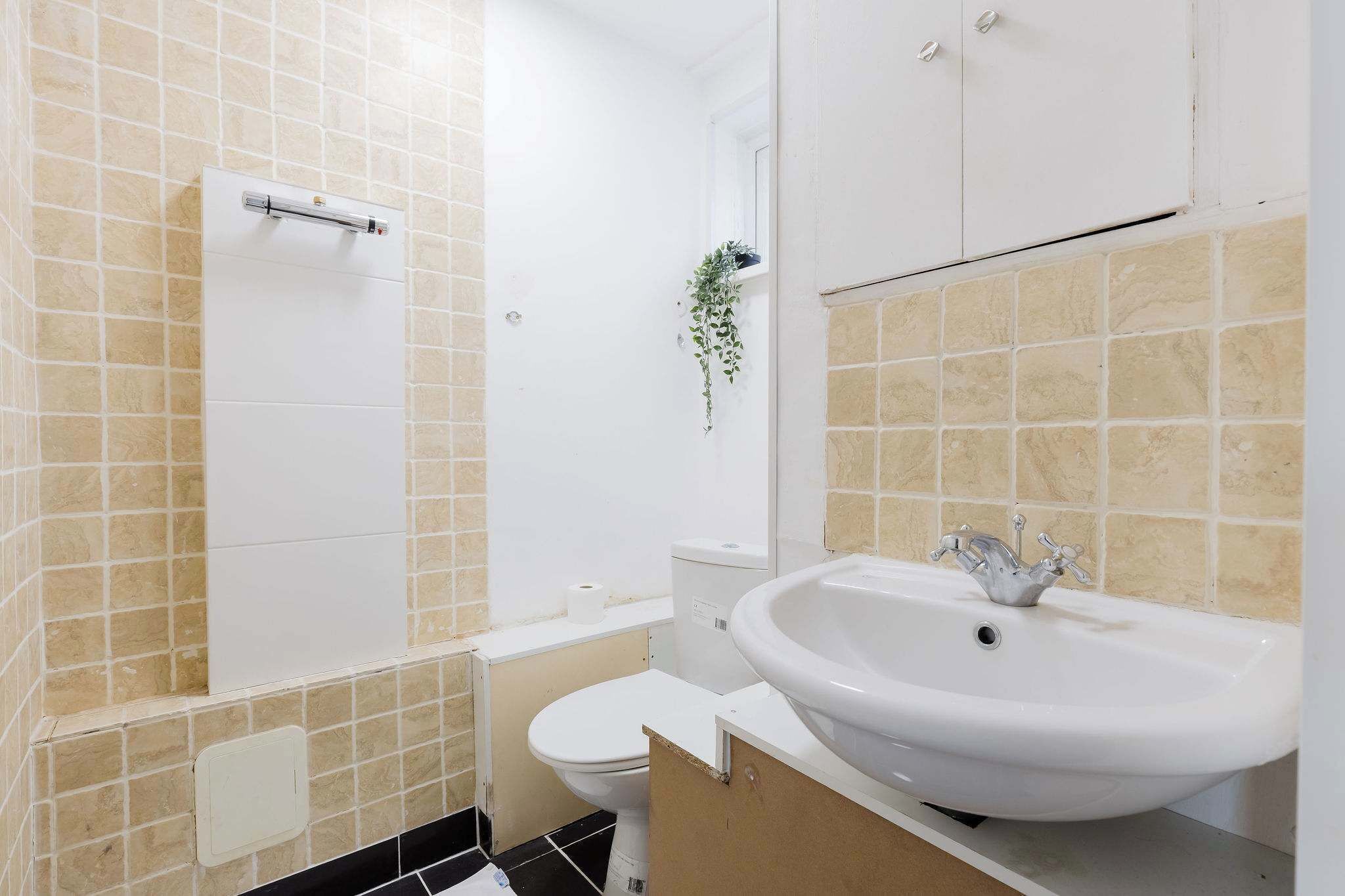 Shower, hair dryer