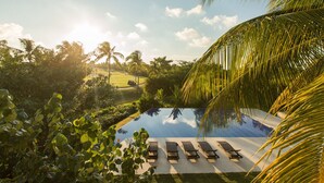 Une piscine bordée de chaises longues, entourée d’une végétation luxuriante et de palmiers.