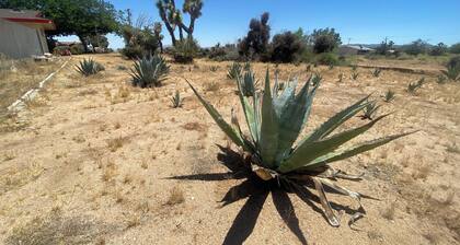 Retro ranch house next to nature but close to town