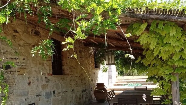 Een terras buiten met stenen vloer, houten meubels en een pergola begroeid met klimop.