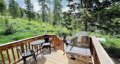 Private and peaceful 3 br cabin in the woods with new Hot Tub