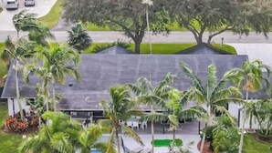 Une piscine circulaire entourée de palmiers et dotée d’un espace salon abrité.