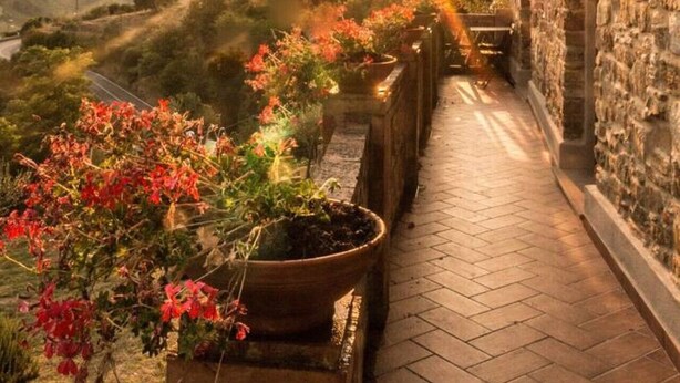 Um edifício de pedra com um caminho pavimentado e vasos de plantas.