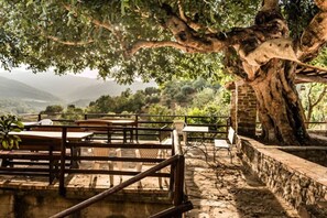 Outdoor dining - Historic farmhouse in the Cilento countryside - App. 2 (Rutino)