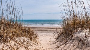 Un sentier de sable qui longe la plage et mène à l’océan, bordé de hautes herbes.