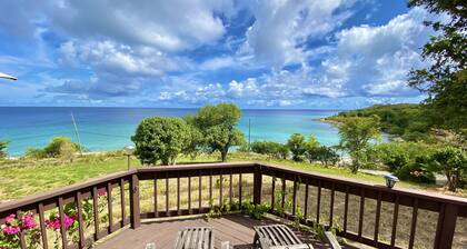 Entire Caribbean Property - 9 bedrooms - 10 acres