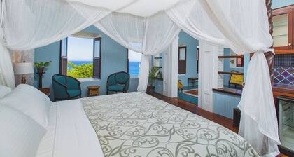 Entire Caribbean Property - 9 bedrooms - 10 acres