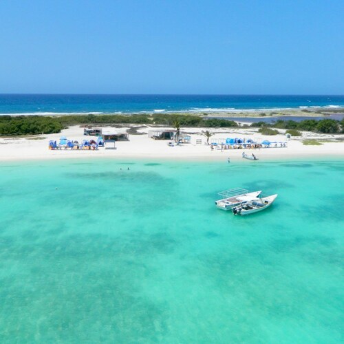 "explora la Aventura: Camping de Playa Isla La Tortuga ¡vive la Magia del Mar !"