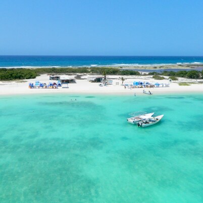 "explora la Aventura: Camping de Playa Isla La Tortuga ¡vive la Magia del Mar !"