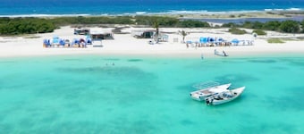 "explora la Aventura: Camping de Playa Isla La Tortuga ¡vive la Magia del Mar !"
