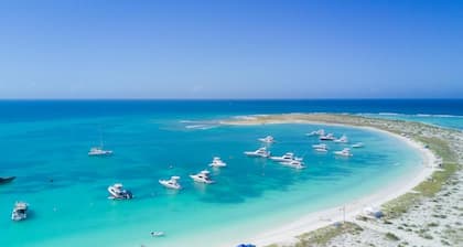 "explora la Aventura: Camping de Playa Isla La Tortuga ÂĄvive la Magia del Mar !"