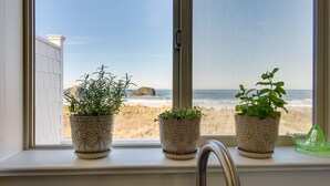 Three potted plants on a windowsill with a view of the beach. - Beachfront Bandon Vacation Rental w/ Ocean View! (Bandon)