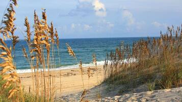 Playa en los alrededores