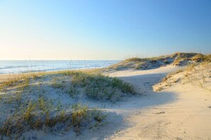 Une plage de sable avec des dunes et une végétation clairsemée.