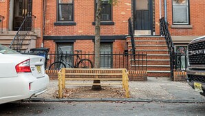 A tree in front of a red brick building with a white car parked nearby.