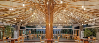 Carlton Al Moaibed Hotel