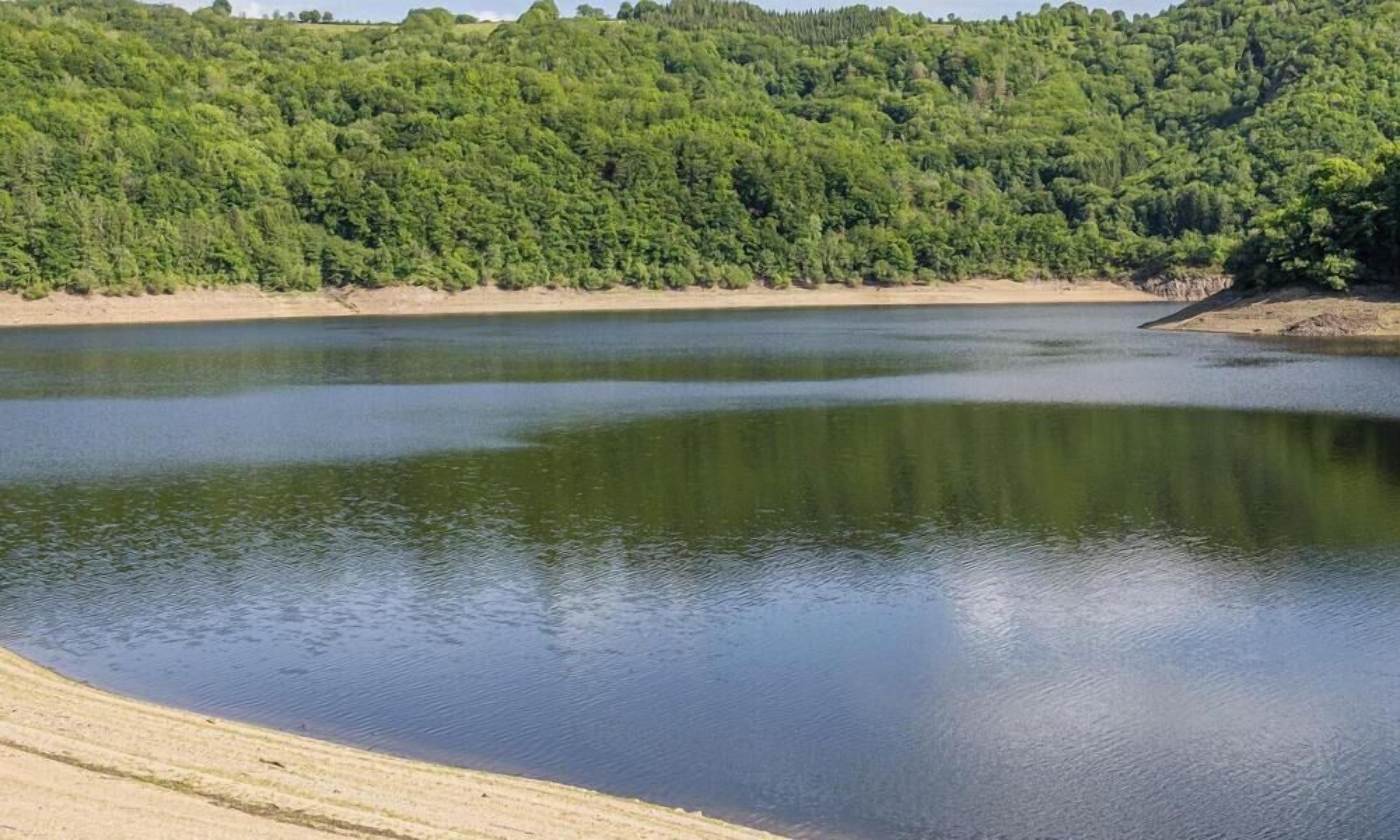 Un lac paisible, avec une colline boisée en arrière-plan.
