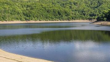 Un lac paisible, avec une colline boisée en arrière-plan.