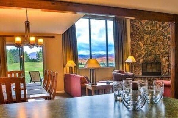 Smart TV, fireplace, books, video library