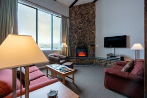 Smart TV, fireplace, DVD player, books