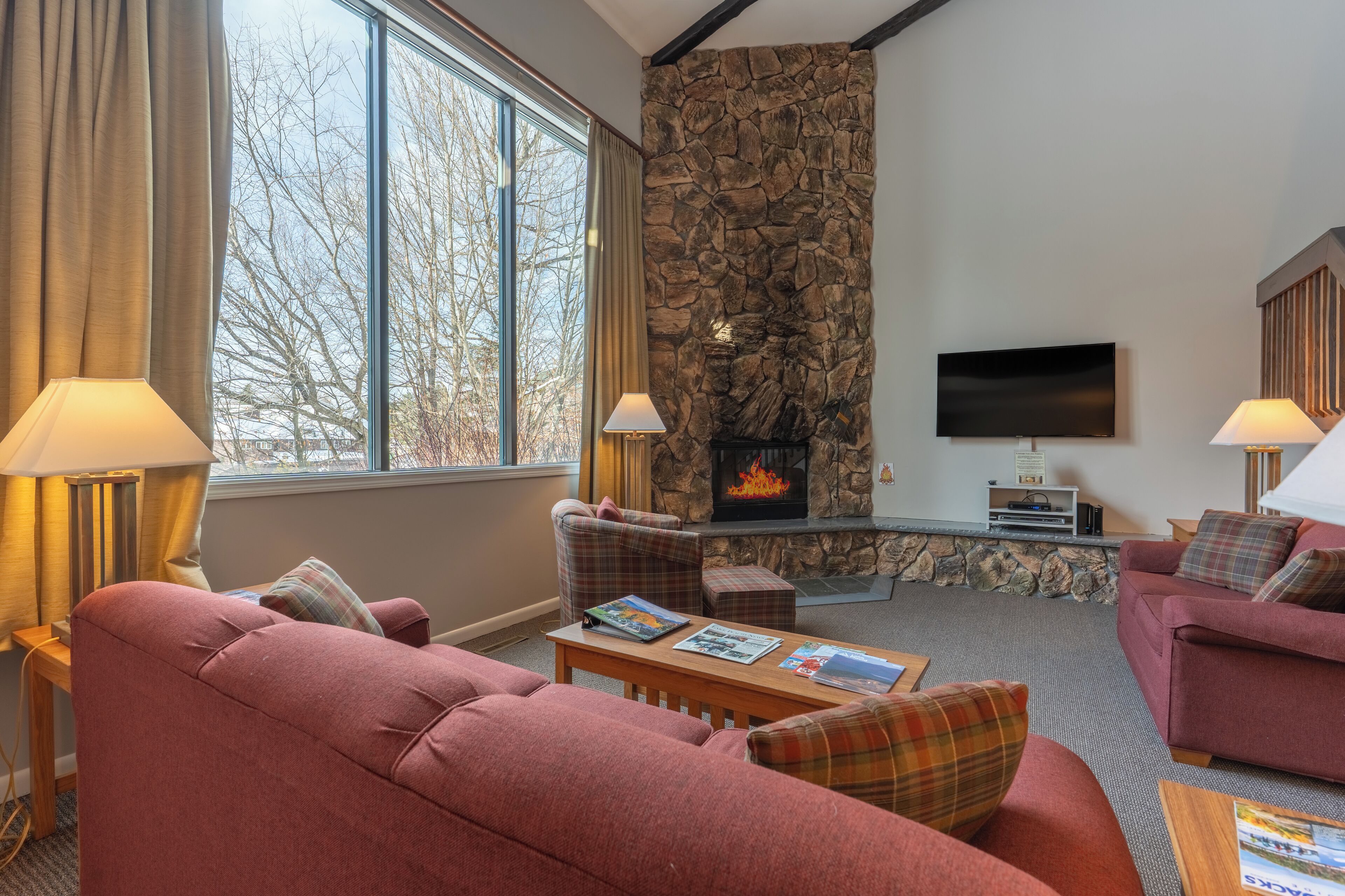 Tv, pejs, dvd-afspiller, videobibliotek