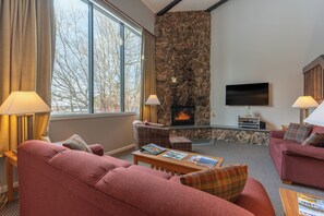 Téléviseur, foyer, lecteur de DVD, sélection de films