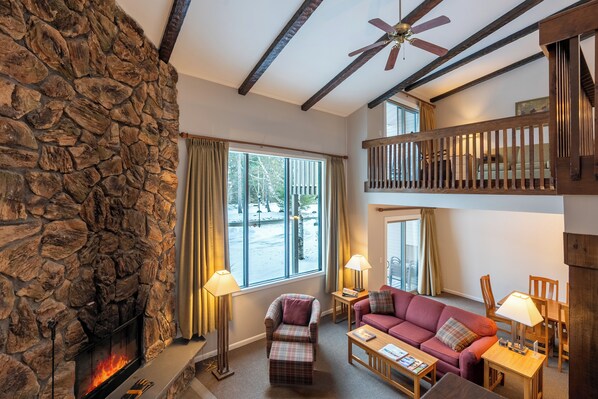 TV connectée, cheminée, lecteur de DVD, livres