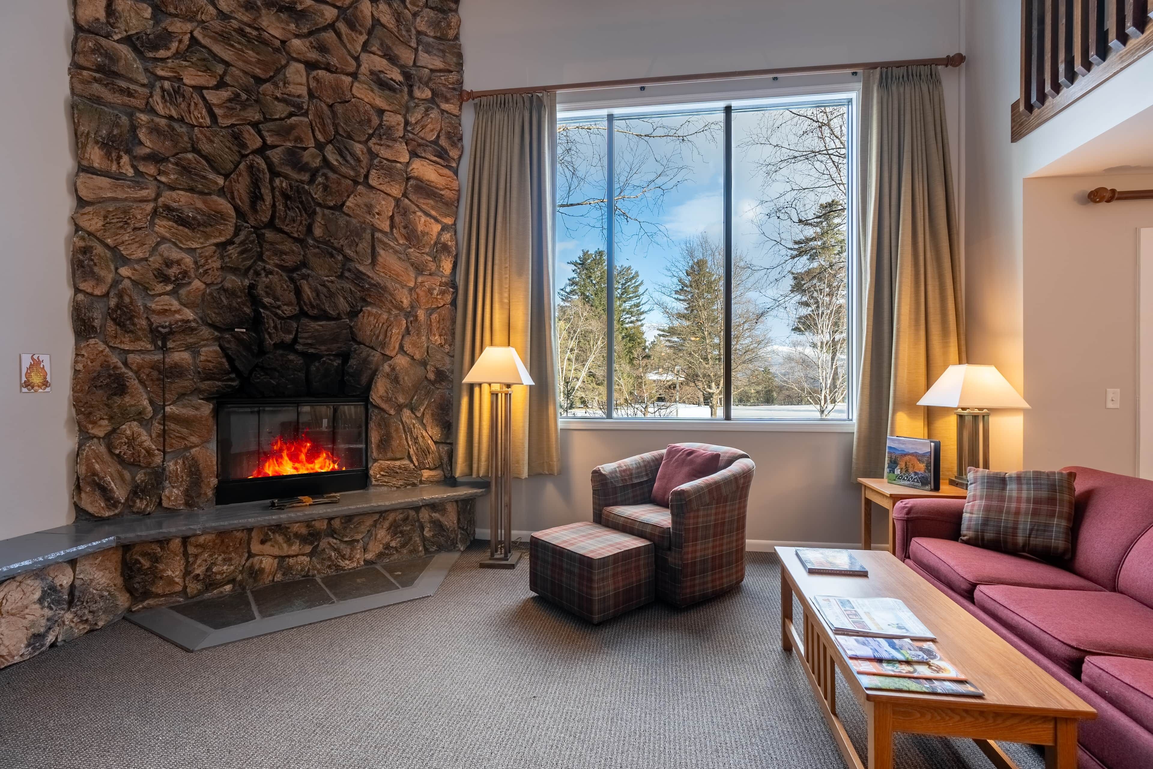 Smart TV, fireplace, DVD player, books