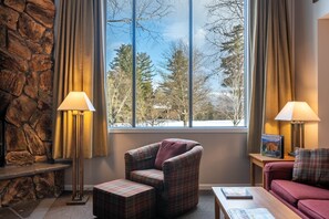 Smart TV, fireplace, DVD player, books