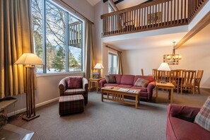 Smart TV, fireplace, DVD player, books