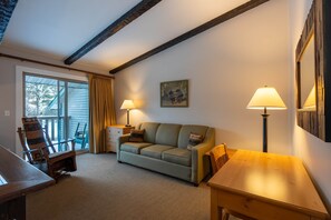 Smart TV, fireplace, books, video library