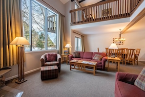 Smart TV, fireplace, books, video library