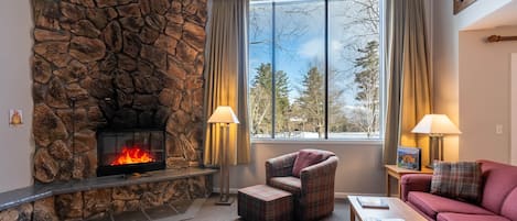 Smart TV, chimenea, reproductor de DVD, libros