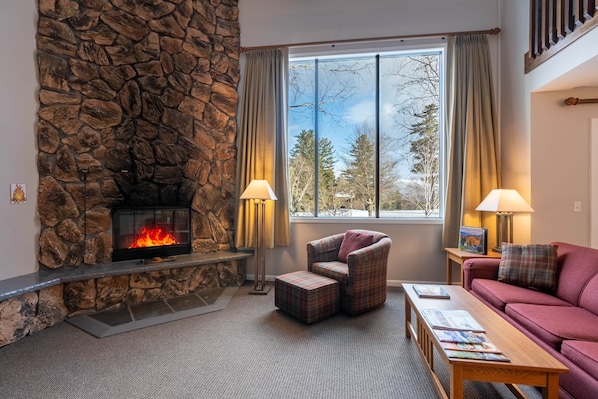 Smart TV, chimenea, reproductor de DVD y libros 