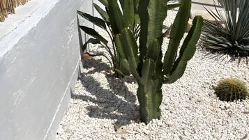 Dettaglio esterni