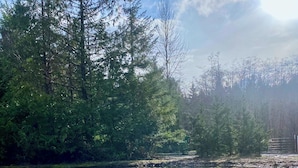A calm river with clear water reflecting trees and sky. - RV SPACE:Tired of crowded, noisy RV parks? 5 private country acres with hookups. (Seabeck)